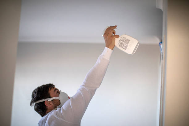 Best Mold Remediation for Specific Building Types in Milton, WV