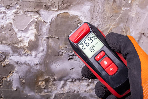 Best Industrial Mold Remediation in Milton, WV