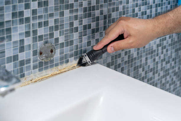 Best Residential Mold Remediation in Milton, WV
