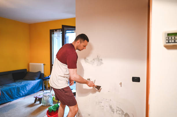 Trusted Milton, WV Mold Remediation Experts